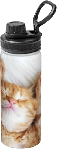 L 킢  L  X|[c{g @r L d\ }O{g  ^fM XeX t 􂢂₷ l q s ^ AEghA 500ml