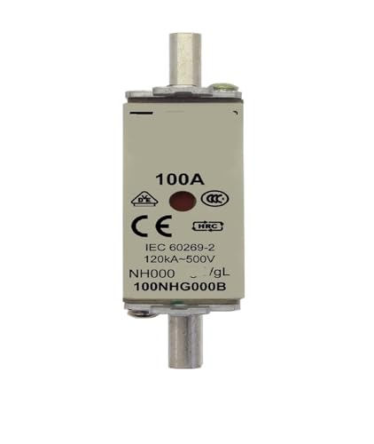 Fusible 100A NH000 100NHG000B 500V cartouche gL gG pour armoire electrique triphase