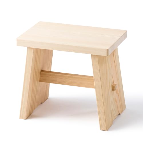 OC Ђ̂ ؐ C֎q CCX oX`FA (yʃ^Cv 24cm ʃTCY 27×17.5cm)