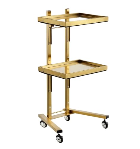 Salon Rolling Trolley with Foldable Design and Stainless Steel Construction for Hairdressing Black Beauty Cart with Wheels and Tray Storage,Gold-40 * 30 * 86cm