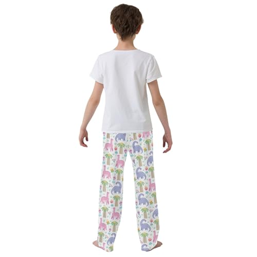 Cartoon Dinosaur Florals Boys Long Pants Soft Trousers Elastic Waist Kids Lounge Bottoms with Pockets S-XL3