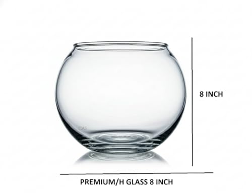 Image of CAS Glass Fish Bowl (W /C (Premium Glass 8 inch)