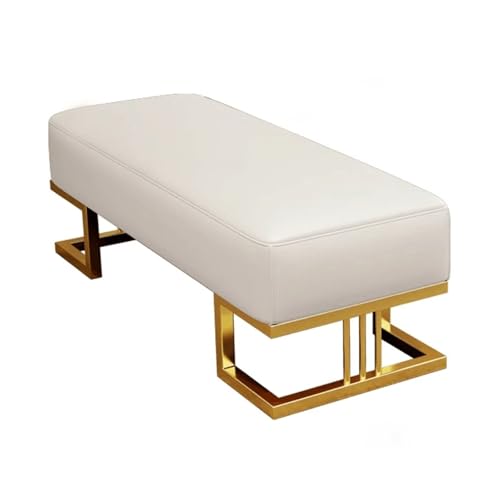 YHKJLYH Banco Zapatero para Entrada, Banco de pie de Cama, Zapatero de Entrada con Asiento Acolchado, Bancos de Almacenamiento tapizados de Cuero sintético con Estructura de Metal, para Dormitorio,