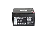 Aplicación en sillas de ruedas eléctricas, uso solar, caravana/marina, plataformas elevadoras, máquinas de limpieza, carros de golf, etc.