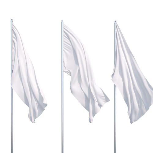 Drapeaux blancs vierges en polyester Boao lot de 12 pour décoration extérieure - 7