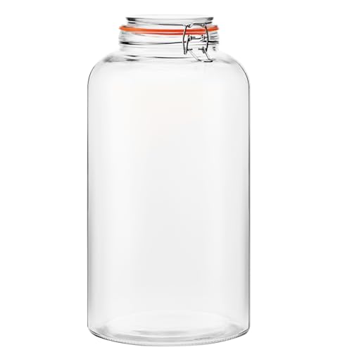 2.5 Gallon Glass Jar with Lid Wide Mouth Large Storage Container 1-Pack