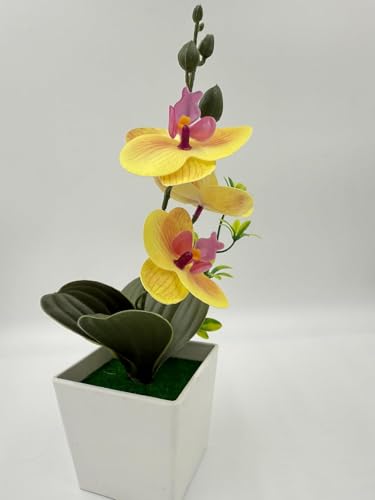 Image of Florona Artificial Orchid Flowers for Decoration with White Plastic Pot | 25 cm Artificial Flowers with Pot | Phalaenopsis Flower with Vase | Realistic Flower for Home, Bedroom, Office (Yellow)