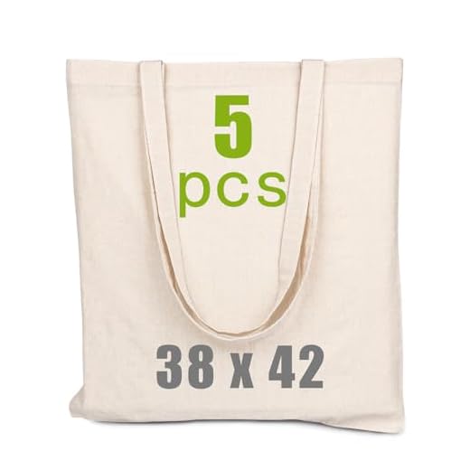 5 Piezas Bolsa Tote Bag, Bolsas de Tela 38x42cm, Bolsa de Lona Con Asas Largas 70cm, Lavable reutilizable, Ideal para bolsa Compra, para Ropa, Colegio, Alimentos, Verduras, Manualidades, Pintar