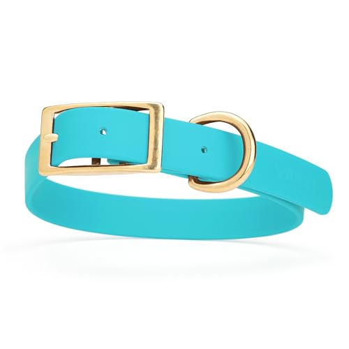 Image of Viper Biothane Heavy Duty Waterproof Dog Collar Strong Coated Nylon Webbing w /Solid Brass Hardware Odor-Proof Easy to Clean High Performance Fits Small Medium or Large Dogs, Sky Blue