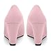 MISEZOXI Womens Heeled Pumps, Pointed Toe Wedge High Heels Pump Shoes for Women 3.3