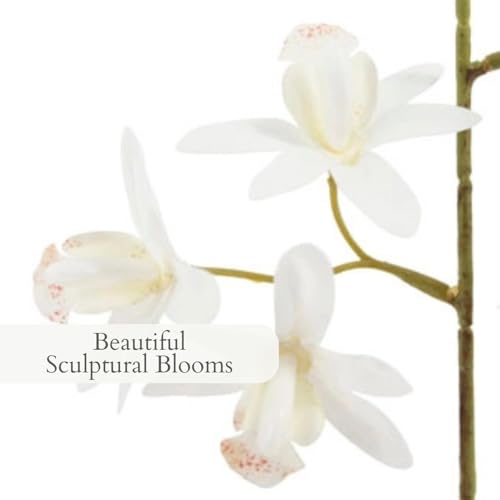 Image of CG Hunter Faux Vanda Orchid Plant, Premium Artificial Indoor Flower Display Stands 22.5 inch, Beautiful Sculptural Blooms that Lasts Forever, White Planter Pot Included