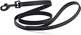 Dogline Biothane Waterproof 6ft Dog Leash Strong Coated Nylon Webbing with Black Hardware Odor-Proof Easy to Clean High Performance for Small or Large Dogs Made in USA 6ft Lead, Black