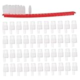 dimension cage pour canari Accessoire d'apiculture : ces outils sont des objets simples qui peuvent vous aider à transporter et à stocker la cage à reine des abeilles pour l'apiculture