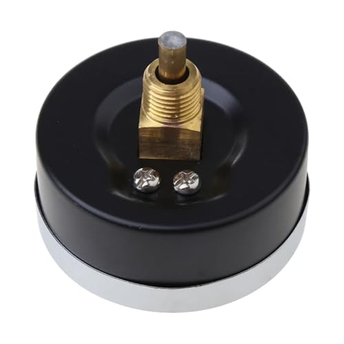 Thermo-manomètre 0-120 ℃ haute précision avec boîtier robuste 10 bar