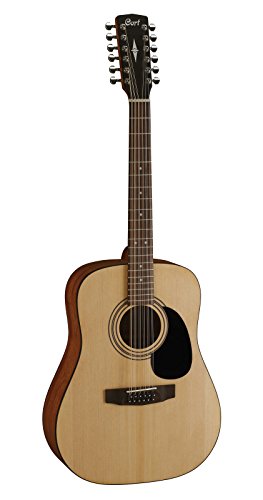 Guitare acoustique à 12 cordes type Dreadnought