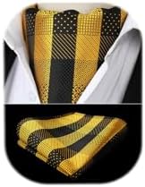 HISDERN Ascot Ties for Men Paisley Cravat Tie and Pocket Square Set Floral Mens Ascot Scarf Handkerchief Wedding Party