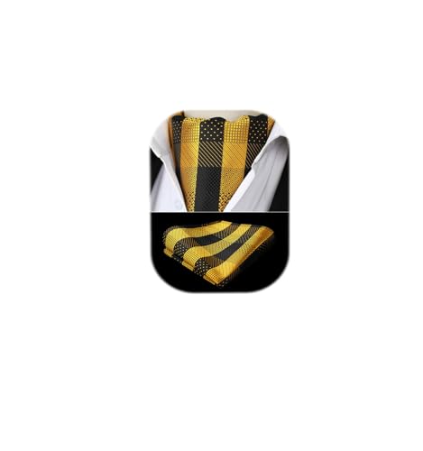 HISDERN Ascot Ties for Men Paisley Cravat Tie and Pocket Square Set Floral Mens Ascot Scarf Handkerchief Wedding Party