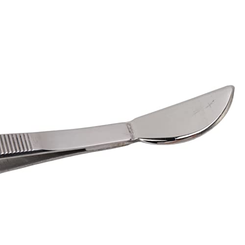 Hztyyier Bonsai-Pinzette Edelstahl-Bonsai-Werkzeuge Gartenpinzette aus Stahl Pflanzenpinzette Bonsai-Werkzeug mit Langem Griff Lange Pinzette für Pflanzen Sukkulenten (Gebogen)