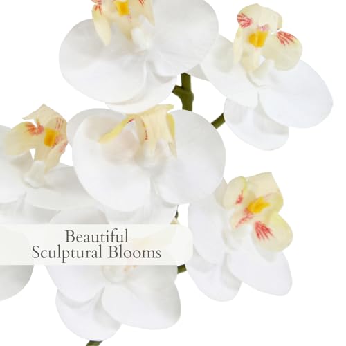 Image of CG Hunter Faux White Orchid Plant, Premium Artificial Indoor Flower Display Stands 24 inch, Beautiful Sculptural Blooms That Lasts Forever, Grey Planter Pot Included