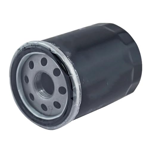 Filtro Aceite Para 15400RTA004 Para W610/6 Para MO8870 Para CR-Z Para Civic X Para Odyssey Para City Para Crosstour Para ACCORD Para ACURA Filtro Aceite Coche