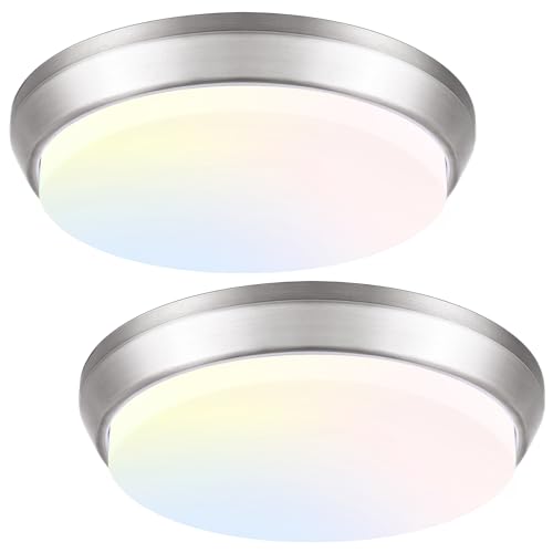 13 Inch Dimmable Ceiling Light