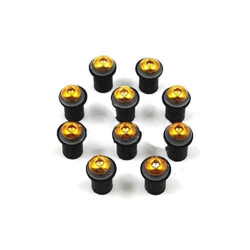 tFAO{gt@Xi[Nbv 10 5mm I[goCp hlW {gɓK郄}np ɓKT-MAX 500 530p(Gold)