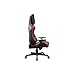Newskill Kitsune - Silla gaming profesional (Inclinación y altura regulable, reposabrazos 2D...