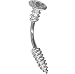 A-Screw Belly Button Ring 14 gauge 3/8 Steel Barbell-In and Out Silver Color Screw Non Dangle Navel Ring