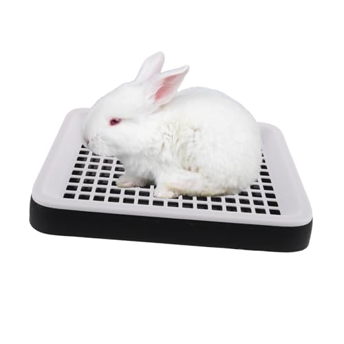 Abaodam gC lp` ybgp֖~ yʑϋv RLbVtB^[t pP[Wpi