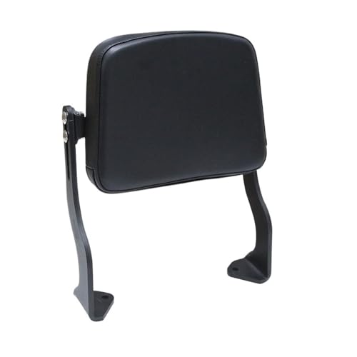 Coussin de dossier moto pour Pan America 1250 arrière