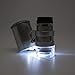 Grow Room Microscope - 60x Handheld Mini Pocket LED Loupe Magnifier - Blue or White Light -