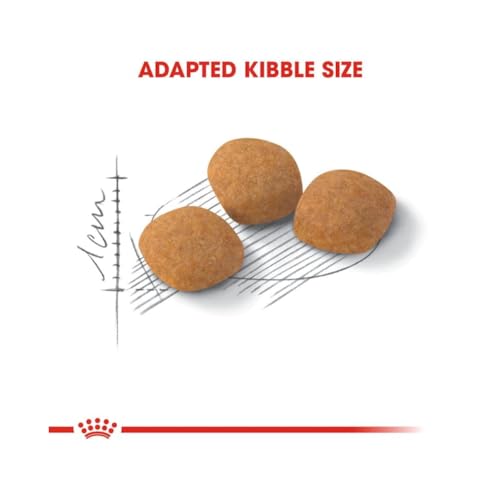 Royal Canin Protein Exigent | 400 g | Alleinfuttermittel für besonders wählerische Katzen ab dem 12. Monat | Enthält einen speziell angepassten Energiegehalt