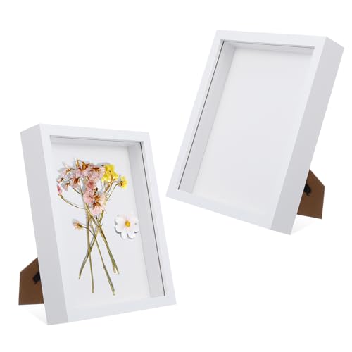 Healifty 2pezzi Cornice Per Foto in Cavo Vetrina Per Fiori Pressati Esemplari Nozze Biglietti e Foto