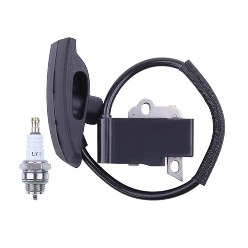 Module d'allumage BR430 BR350 SR450 - Pièce bobine 4244 400 1307