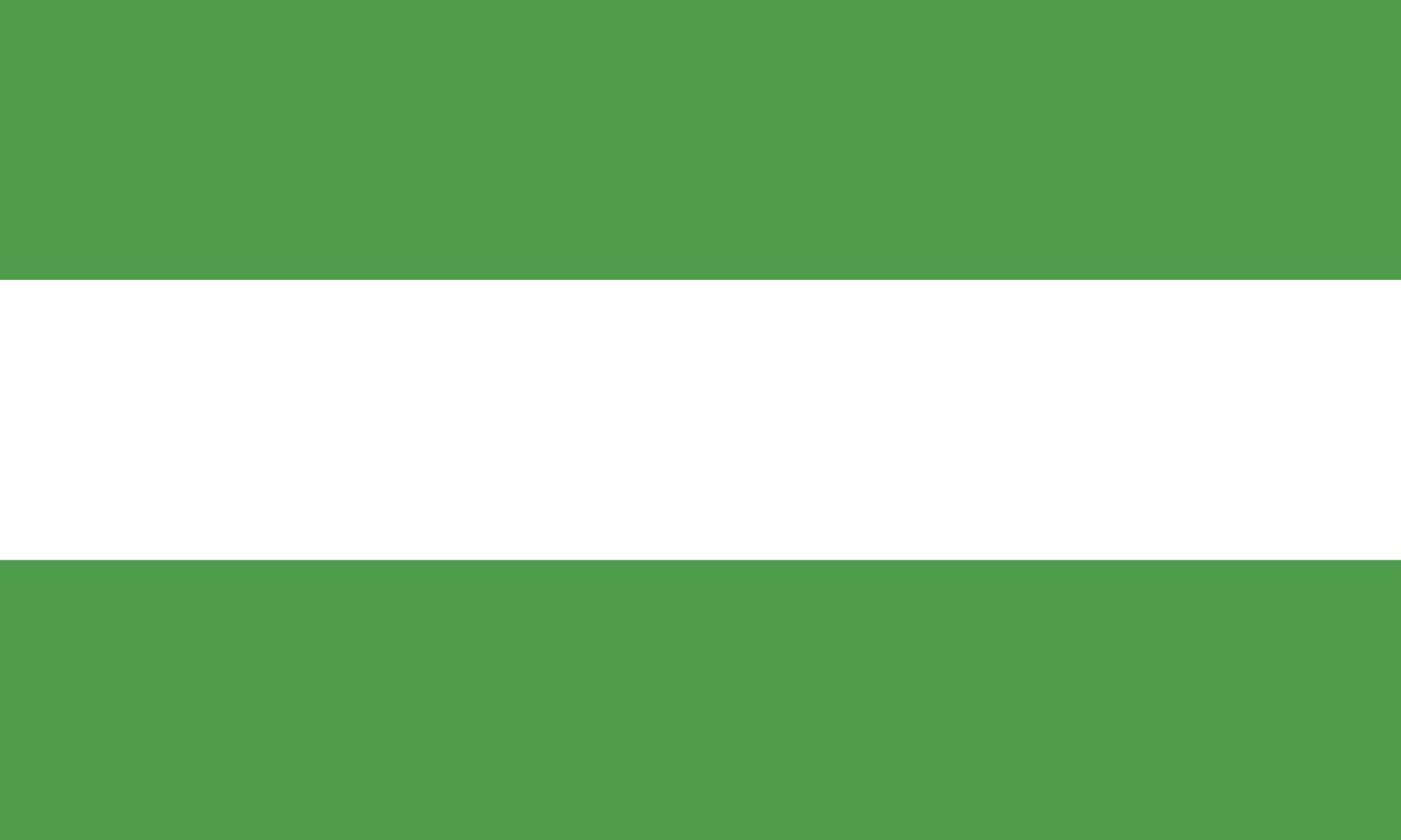 Drapeau Provincia San José de Ocoa grand format pour pavoiser sans s'effilocher