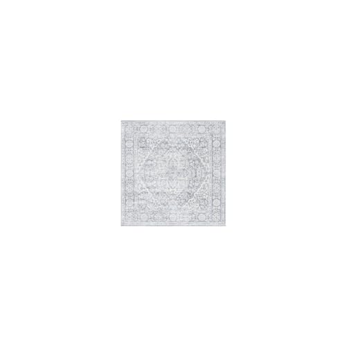 SAFAVIEH Tapis Brentwood 3' x 3' gris clair ivoire