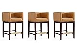 Manhattan Comfort Kingsley 34 in. Camel and Dark Walnut Beech Wood Counter Height Bar Stool (Set of...