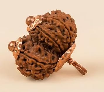 MAA Shakti GEMS Gauri Shankar Rudraksha Natural Attractive Colour Nepali Holy Beads Original Certified by Lab for Men & Women