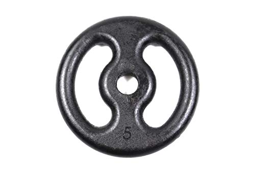 Anilha 5kg Pintada P/Barras E Halteres Academia Musculação