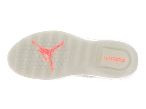 jordan trainer 1 low wolf grey
