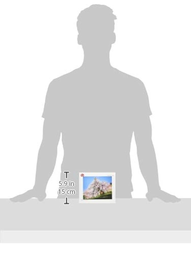 Amazon.co.jp: 300ピース ジグソーパズル 藤城清治 三春の滝桜