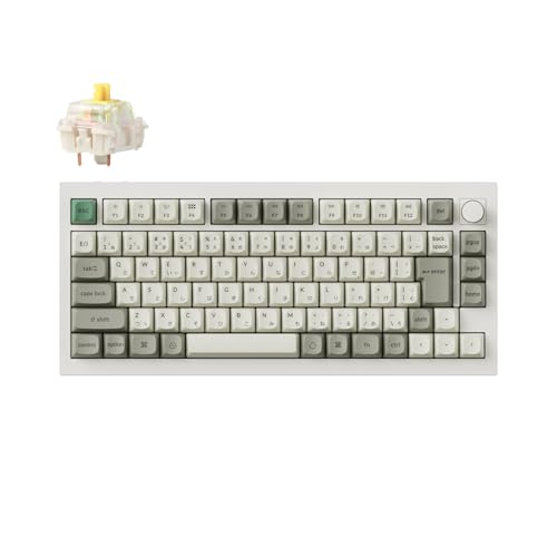 Keychron Q1 Max ワイヤレス カスタム メカニカルキーボード Keychron Q1 Max QMK/VIA ワイヤレス カスタム・メカニカル