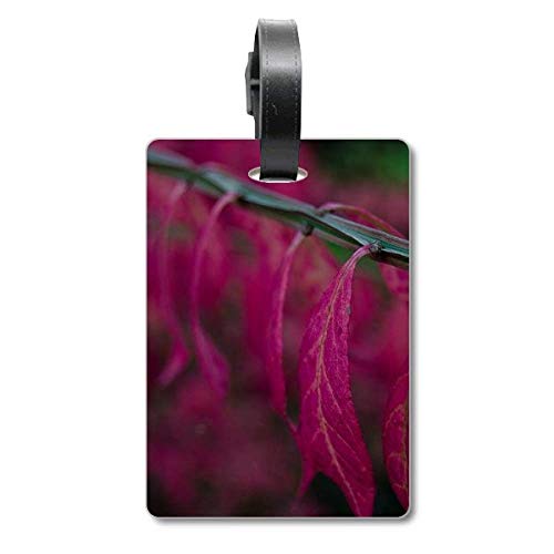 Étiquette de valise motif feuilles rouges en matériau haute résistance