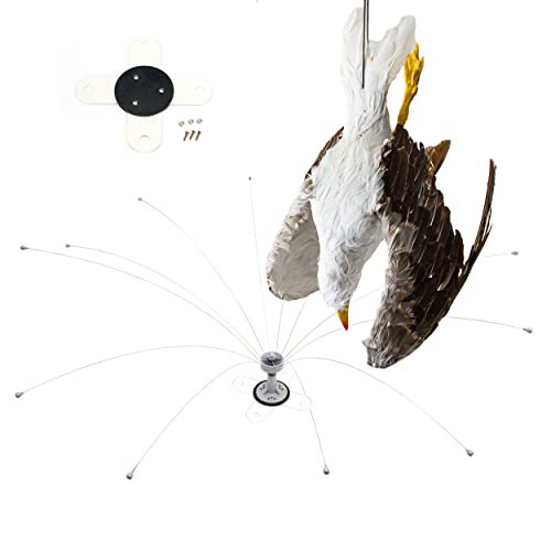 6 Easy Steps To Keep Seagulls Off Your Boat