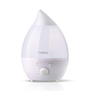 ä»Šä¸€ç•ªå£²ã‚Œã¦ã„ã‚‹ åŠ æ¹¿å™¨ Amazonãƒ©ãƒ³ã‚­ãƒ³ã‚°top10 1 27 09 07 1 2 ã­ã¨ã‚‰ã¼èª¿æŸ»éšŠ