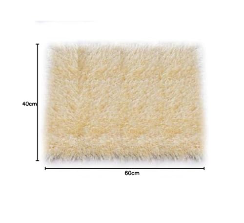 Image of Anti Skid Doormats for Home and Office Entrance Living Room and Bathroom Mats | Entrance Door Mats for Home and Office Entryway. (Solid Beige, 20x32)