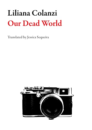 Our Dead World view 2
