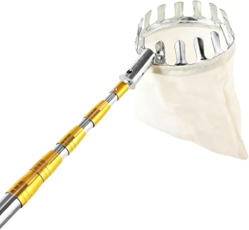 Xiraivke |H t[csbJ[ Lk|[t }ʕ oXPbgt蓮E݋@ npʕLb`[ ʎpi pʎp