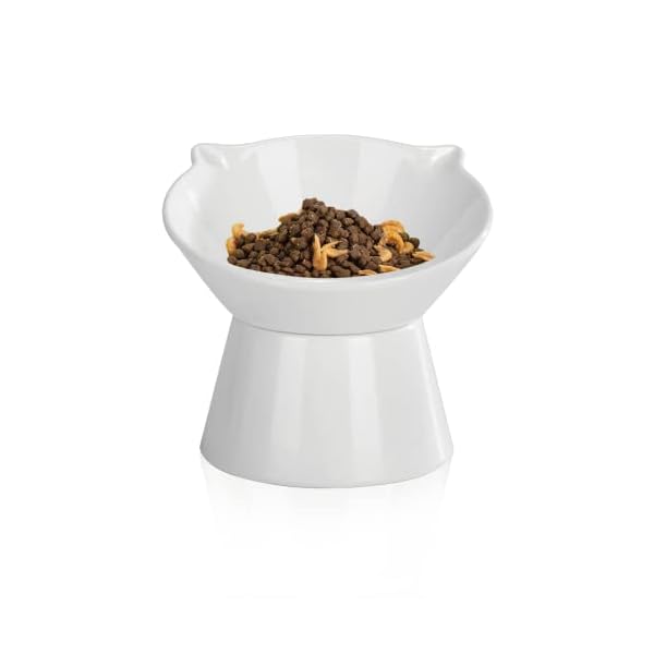 vootun Futternapf Katze,Katzennapf Erhöht Fressnapf Katze mit 15° Neigung Design,Anti-Erbrechen Katzennäpfe,Katzenfutternapf für Futter und Wasser,perfekt für Katzen,Welpen und kleine Hunde,Weiß