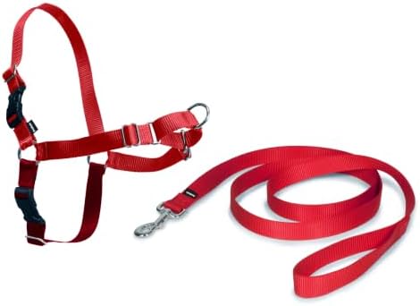 Arnés para Perros Easy Walk de PetSafe, arnés antitirones para Perros – para adiestramiento con Correa y Collar – Evita tirones y Asfixia en los Paseos – Grande, Rojo